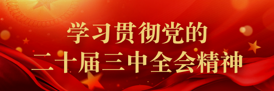 學習貫徹黨的二十屆三中全會精神